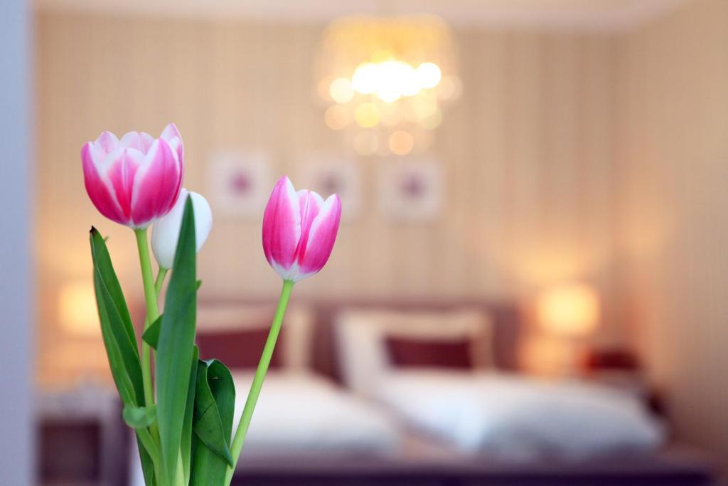 Hotel Krone باد ريغاز الغرفة الصورة